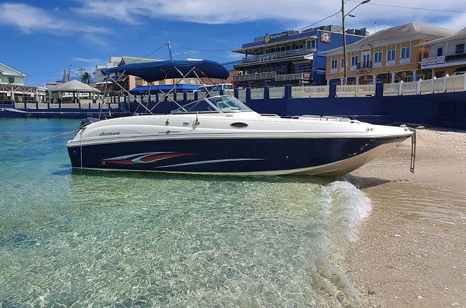 Full-Day Private Stingray City Snorkeling and Starfish Beach Tour - Authentic Experiences from Reviews