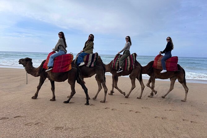 Full Day Private Tangier Tour From Cruise Ship All Inclusive - Pricing and Booking Information