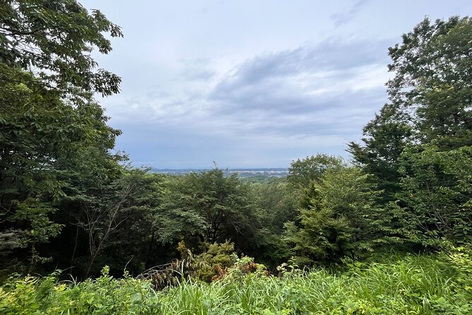 Full-Day Private Tokyo Countryside Tour - Itinerary