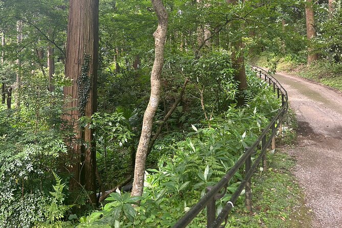 Full-Day Private Tokyo Countryside Tour - Inclusions