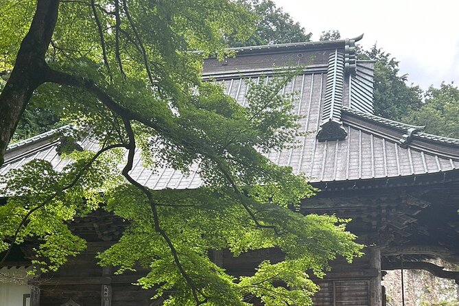 Full-Day Private Tokyo Countryside Tour - The Sum Up