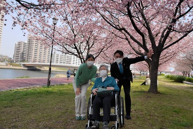 Full Day Private Tokyo Tour for Wheelchair Users - Accessible Attractions