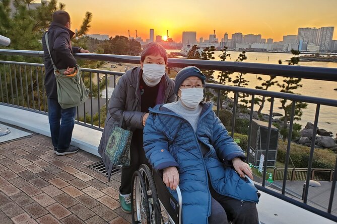 Full Day Private Tokyo Tour for Wheelchair Users - Knowledgeable Guide
