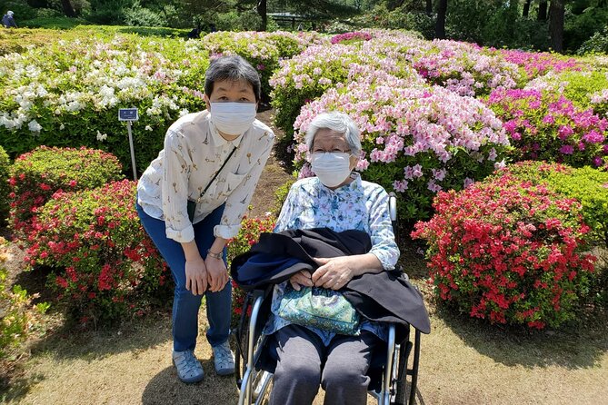 Full Day Private Tokyo Tour for Wheelchair Users - The Sum Up