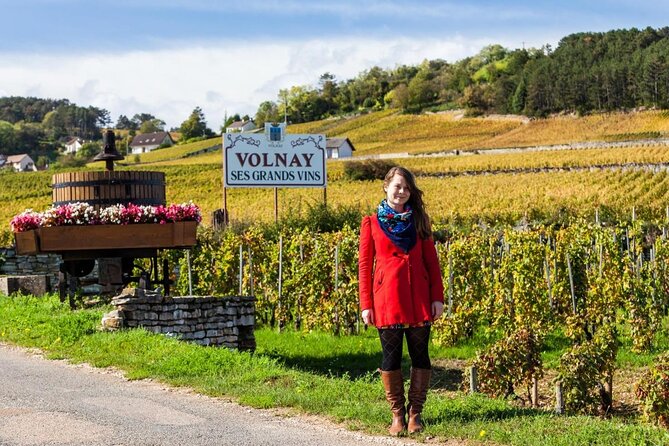 Full Day Private Tour 10 Premiers & Grands Crus, The Best of Burgundy - Itinerary of the Tour