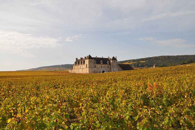Full Day Private Tour 10 Premiers & Grands Crus, The Best of Burgundy - Afternoon Tastings in the Côte De Nuits