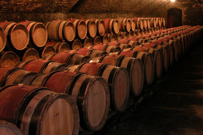 Full Day Private Tour 10 Premiers & Grands Crus, The Best of Burgundy - Wine Selection and Expert-led Tastings