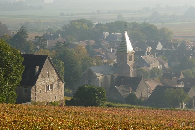 Full Day Private Tour 10 Premiers & Grands Crus, The Best of Burgundy - Traveler Photos and Featured Review