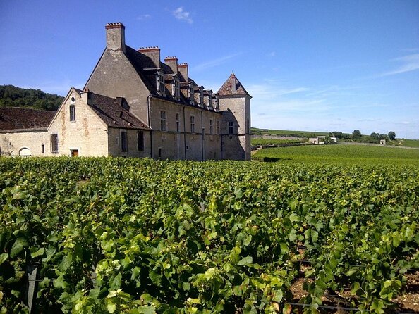 Full-Day Private Tour, 6 Premiers & Grands Crus, The Best of Burgundy - Overview and Tour Itinerary