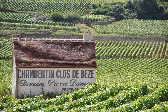 Full-Day Private Tour, 6 Premiers & Grands Crus, The Best of Burgundy - Tour Details and Booking Information