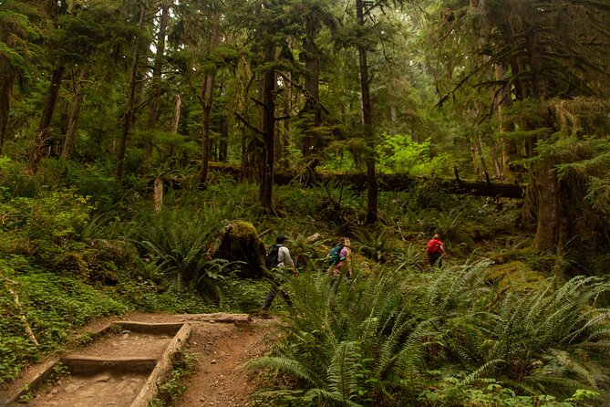 Full-Day Private Tour and Hike in Olympic National Park - Tips for a Memorable Experience