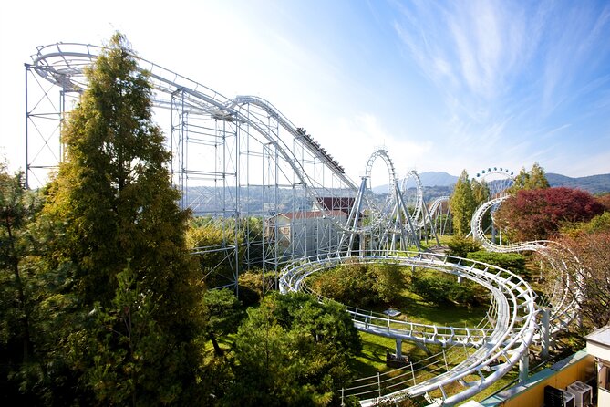 Full Day Private Tour Everland Theme Park - Private Tour Guide