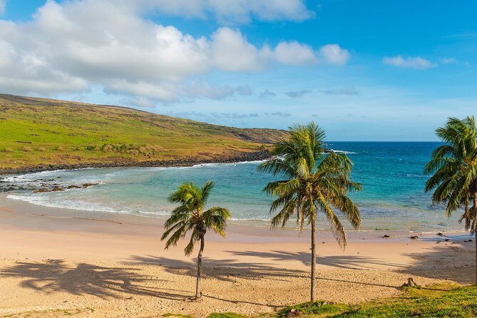 Full Day Private Tour: Factory of the Moai the Stone Giants - Tour Highlights and Inclusions