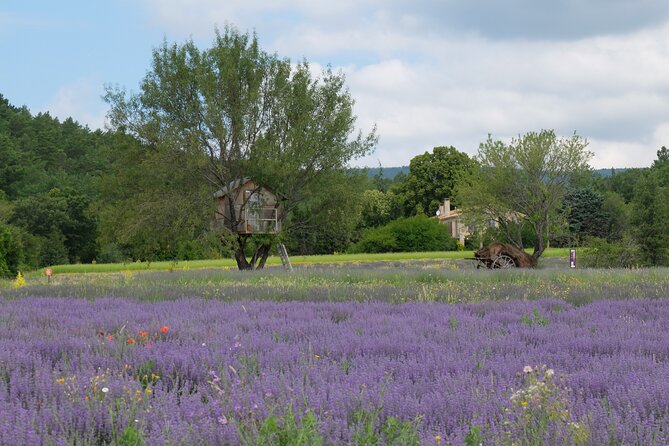 Full Day Private Tour From Avignon - Tour Details
