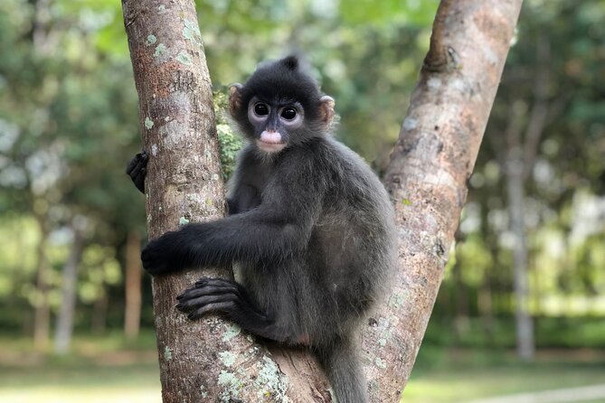 Full Day Private Tour From Vientiane to Tha Ngon and Lao Trust for Wildlife - Changes and Assistance