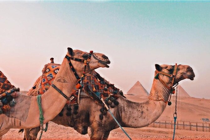 Full-Day Private Tour Giza Pyramids, Saqqara and Dahshur - Itinerary Overview