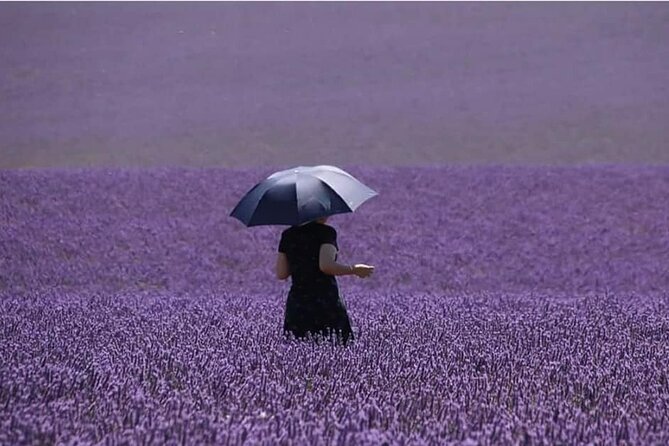 Full-Day Private Tour Gorges Du Verdon (Lavender JUNE 15/July 15) - Available Dates and Season