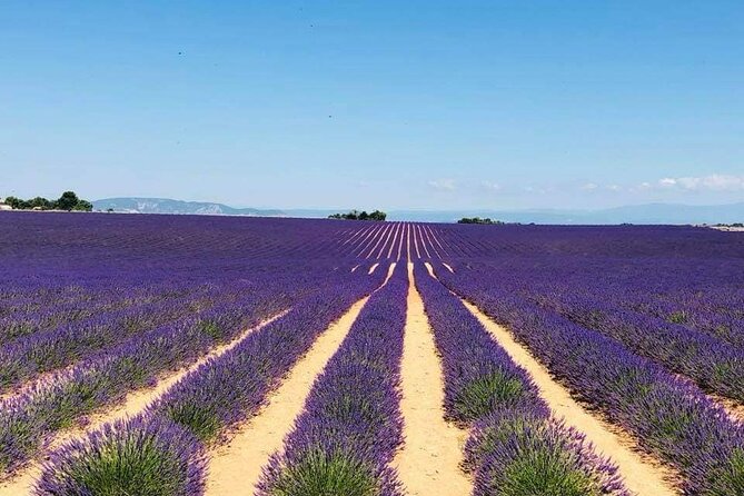 Full-Day Private Tour Gorges Du Verdon (Lavender JUNE 15/July 15) - Learn About the History and Geology
