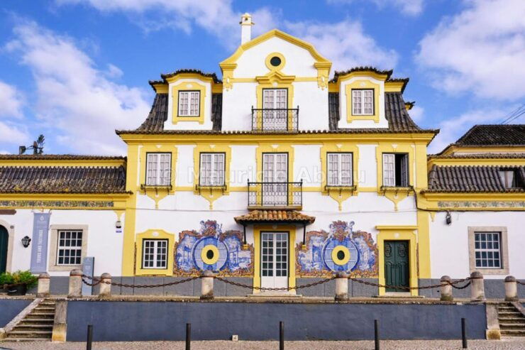 Full-Day Private Tour in Arrábida With Wine Tour From Lisbon - Itinerary Highlights