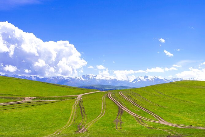 Full Day Private Tour in Assy Plateau - Itinerary