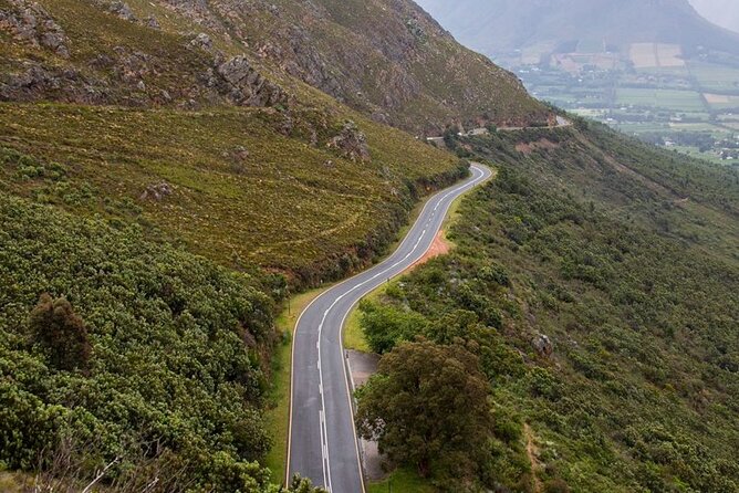 Full Day Private Tour in Cape Town. With Free Photo Shoot. - Tour Highlights