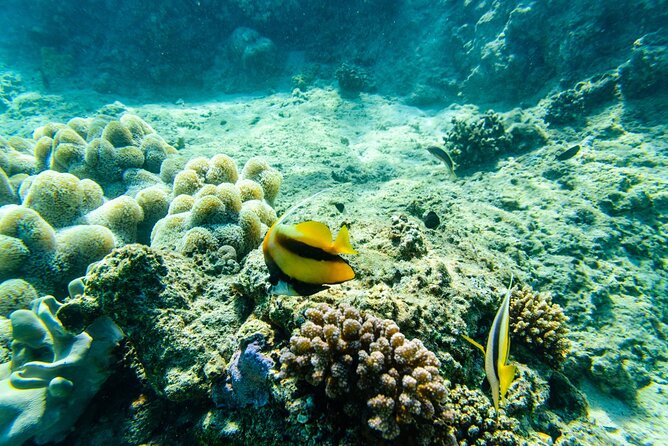 Full Day Private Tour in Cayo Arena - Itinerary Details