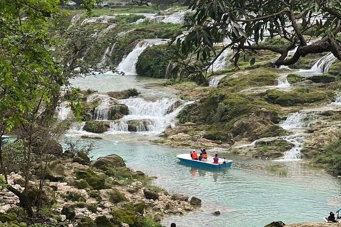 Full Day Private Tour in Dhofar Mountains and Beaches - The Sum Up