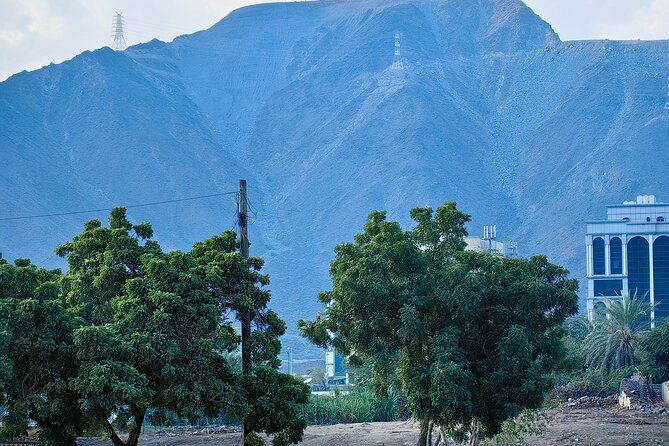 Full Day Private Tour in East Coast Khorfakkan - Common Questions