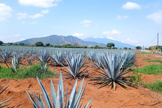 Full-Day Private Tour in Guadalajara - Itinerary Overview
