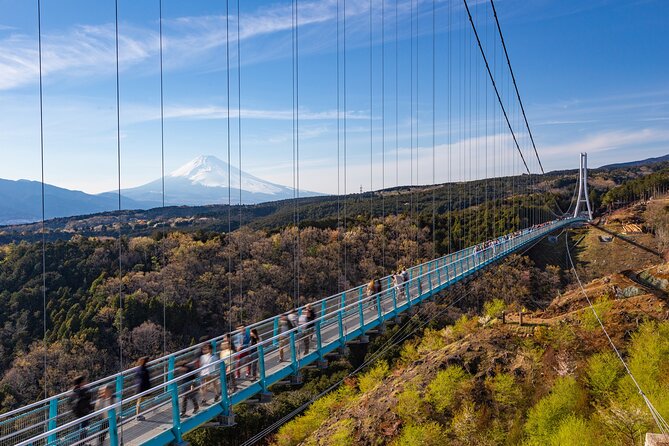 Full Day Private Tour in Hakone - Tour Details