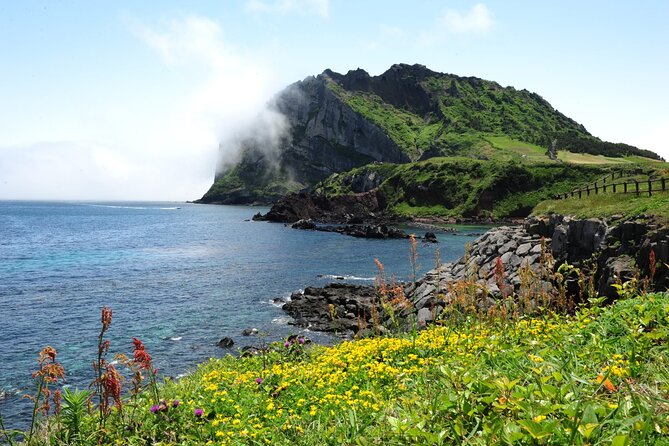 Full-Day Private Tour in Jeju Scenic East Coast - Cancellation Policy