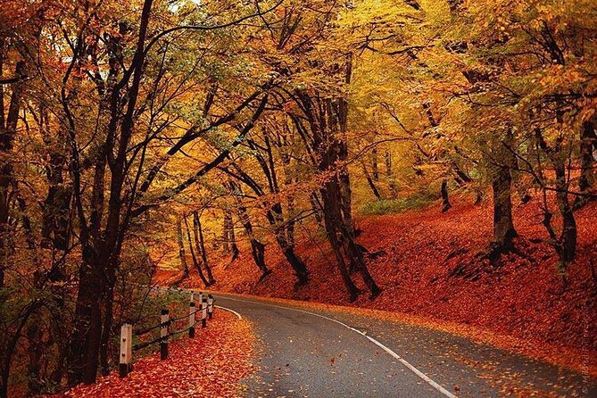 Full-Day Private Tour in Kakheti - Pricing and Reservations