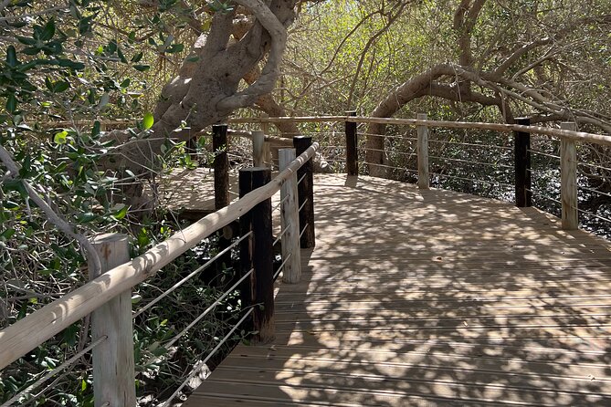 Full-Day Private Tour in Kalba Mangroves And Khor Fakkan - Tour Highlights