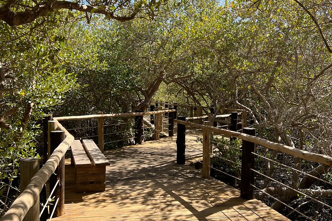 Full-Day Private Tour in Kalba Mangroves And Khor Fakkan - Itinerary