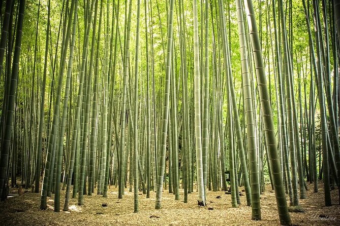 Full Day Private Tour In Kamakura English Speaking Driver - Google Maps and Directions