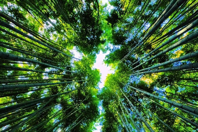 Full Day Private Tour in Kyoto - Additional Costs and Optional Upgrades