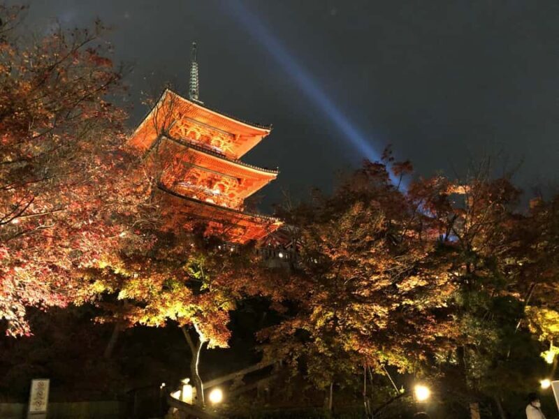 Full Day Private Tour in Kyoto with Private Transportation - Discover Kyoto in a Day: The Private Tour Experience