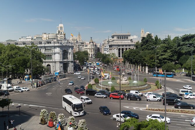 Full-Day Private Tour in Madrid - Private Tour Guide
