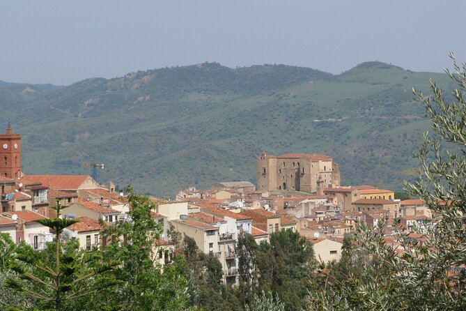 Full Day Private Tour in Medieval Villages and Vineyard in Cefalù - Reviews