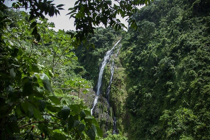 Full-Day Private Tour in Miches and La Jarda Waterfall Experience - Tour Overview