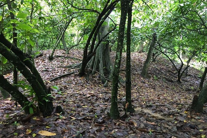 Full-Day Private Tour in Miches and La Jarda Waterfall Experience - Itinerary Highlights