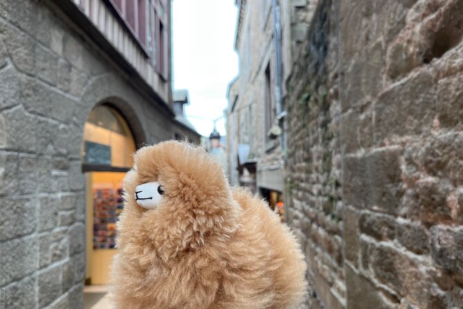 Full-Day Private Tour in Mont Saint Michel With Calvados Tasting - Private Tour/Activity - Only Your Group Will Participate
