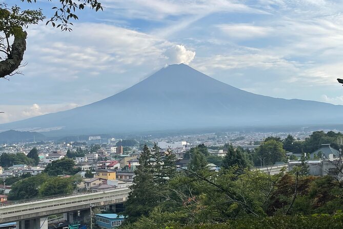 Full Day Private Tour in Mount Fuji and Hakone - Booking Details