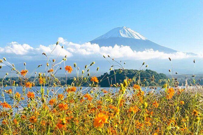 Full Day Private Tour in Mount Fuji - Transportation Details
