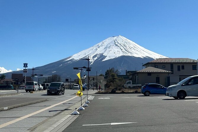 Full Day Private Tour in Mount Fuji - Booking and Pricing Information
