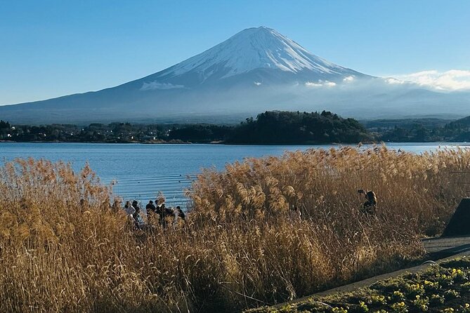 Full Day Private Tour in Mount Fuji - Frequently Asked Questions