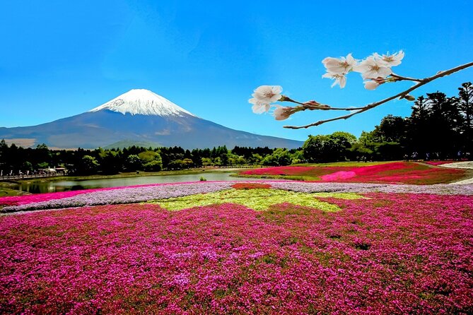 Full Day Private Tour in Mt. Fuji and Hakone - Tour Itinerary Options