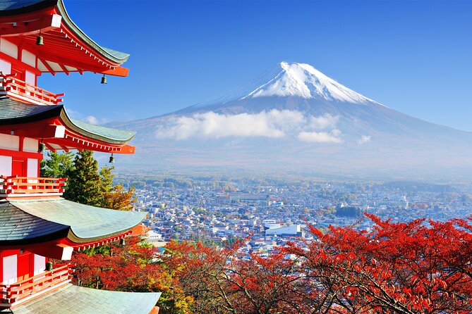 Full Day Private Tour in Mt. Fuji and Hakone - Cancellation Policy Details