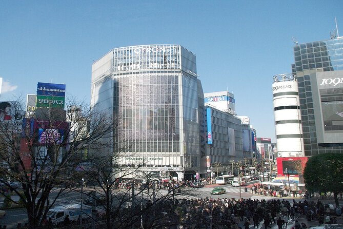 Full-Day Private Tour in New Shibuya - Itinerary Overview