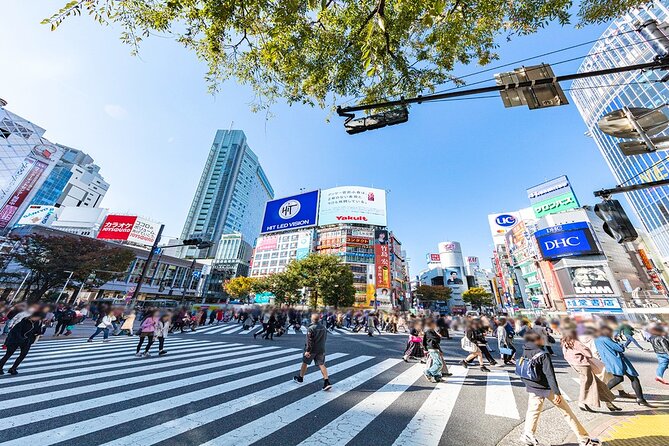 Full-Day Private Tour in New Shibuya - Hidden Gems